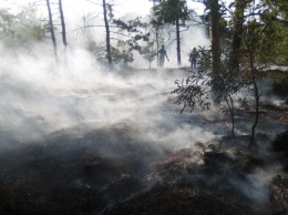 В Ленинском районе из-за молнии начался лесной пожар