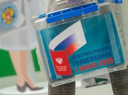 Директор "Ленкома" поддержал электронный формат голосования по поправкам