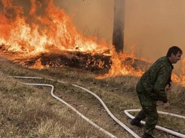 В Крыму за сутки потушили 12 пожаров