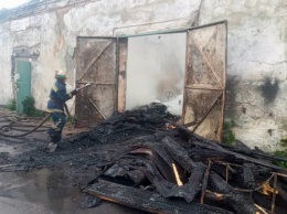 Рано утром криворожские спасатели тушили масштабный пожар