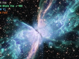 Телескоп Hubble сфотографировал "космическую бабочку"
