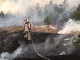 Спасатели заявили о высокой вероятности пожаров в экосистемах Украины