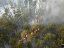В Чернобыльской зоне новый лесной пожар