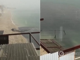 На известном курорте Крыма фекалии сливают прямо в море: появилось видеодоказательство