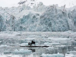 Потепление Арктики идет на 80 лет быстрее