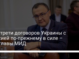 Две трети договоров Украины с Россией по-прежнему в силе - замглавы МИД