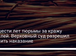 До шести лет тюрьмы за кражу кабелей. Верховный суд разрешил усилить наказание