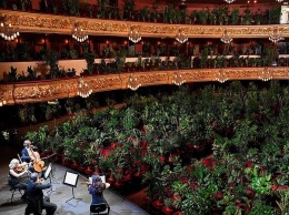 Оперный театр в Барселоне дал концерт для растений