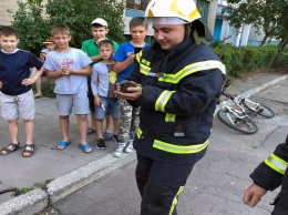 В Каменском спасатели достали ежика из сливной канализации
