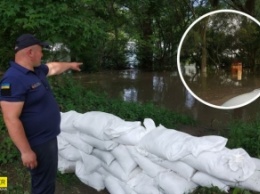 Украинцы напуганы возможными наводнениями: начали выкапывать картошку