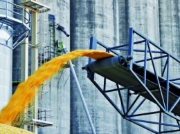 Украина может получить урожай около 97 млн т зерна - эксперты
