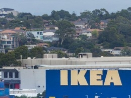 IKEA проверит поставщиков после обвинений в использовании незаконного украинского леса