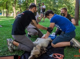 В сквере Героев провели первый в Днепре бесплатный тренинг по оказанию помощи животным