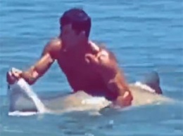 Мужчина засунул руку в пасть акулы: появилось видео курьезного случая на пляже