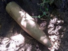 На Днепропетровщине в лесоплосе обнаружили устаревший боеприпас