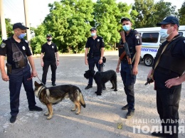 Во время отработки Мариуполя полицейские изъяли оружие и наркотики (видео)