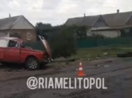 Под Мелитополе в ДТП водителю оторвало руку (видео)
