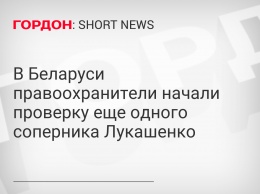 В Беларуси правоохранители начали проверку еще одного соперника Лукашенко