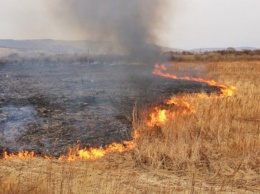 В Крыму под утро горело поле пшеницы