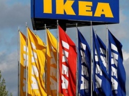 IKEA начала аудит поставщиков древесины в Украине