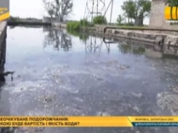 На центральном телеканале показали воду с червяками, которую вынуждены пить жители Запорожской области (видео)