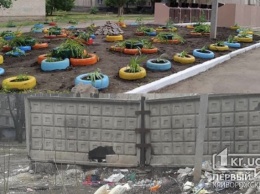 Цветы вместо мусора: криворожане своими силами благоустроили мусорную площадку
