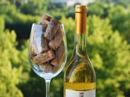 Культура употребления белых вин - секреты опытных сомелье