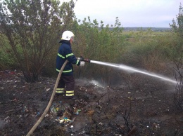 На Николаевщине спасатели потушили пожар пшеницы на корню и 4 пожара сухой травы и мусора (ФОТО)