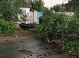 Затопленные дома и разбитые авто: в Херсоне выпала полумесячная норма дождя