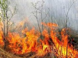 С начала года на Днепропетровщине произошло более 2 тысяч пожаров в экосистемах