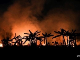 В Амазонии зафиксировали рекордные пожары