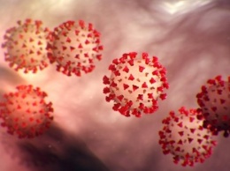 Ученые исследовали новую мутацию коронавируса G614: Распространяется быстрее обычного