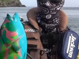 Японский блогер поймал рыбу из популярного фильма «Аватар»