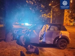 В Харькове авто «Skoda» создало аварийную ситуацию, из-за которой другая машина «влетела» в дерево, - ФОТО