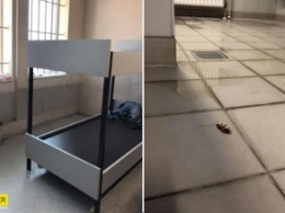 Как держали украинских туристов в Афинах: куча тараканов и не пускали в туалет