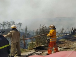 В Юрьевском районе потушили возгорание экосистемы