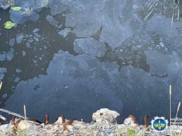 В реке на Киевщине массово гибнет рыба