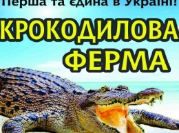 На Арабатке открылась первая в Украине «Крокодиловая ферма»