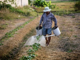 В Раде готовят новый налог для малых фермеров