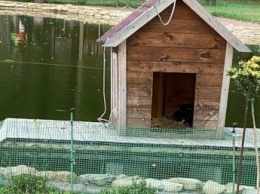 В Мелитополе в парке открывается роддом на воде (фото)