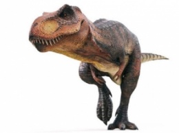 На Мадагаскаре обнаружен маленький предок динозавров