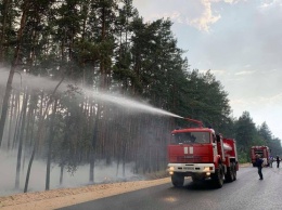 Огромный лесной пожар в Луганской области тушат спасатели из четырех областей (видео)