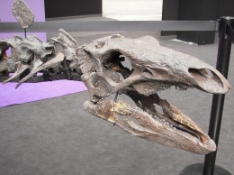 Предки динозавров могли быть очень крошечными