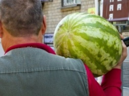 Украинец купил арбуз с нитратами в 100 раз выше нормы, фото: "Чуть дуба не дал"