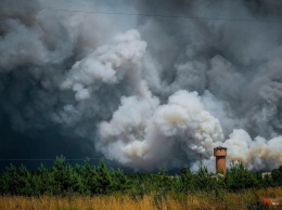 Появились фото и видео смертельных лесных пожаров в Луганской области