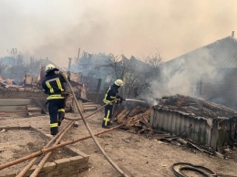 Лесные пожары в Луганской области. Госпитализированы 28 человек, среди них 17 детей