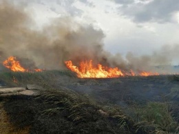 "Чрезвычайная опасность": за сутки в Днепропетровской области произошло 37 пожаров, - ФОТО