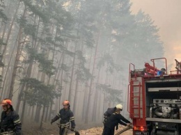 Леса в Луганской области могли поджечь умышленно, - Луганская ВГА