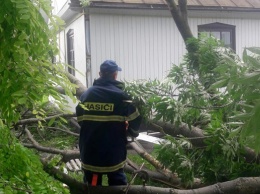 Непогода на Хмельнитчине повалила деревья и смыла дороги