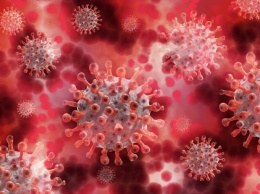 Ученые рассказали он скором появлении нового коронавируса: перейдет от животных к человеку